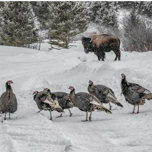 هادی رحیمی فلک آخ فلک چقد تو بیرحمی از تو آواره شدم من فلک اصلا از تو خیری ندیدم